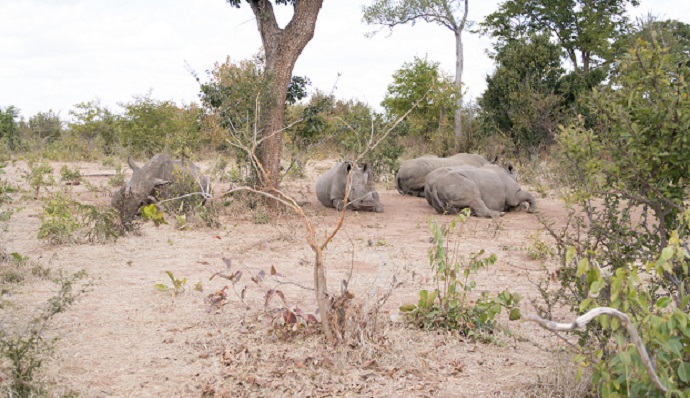 Mosi oa Tunya National Park